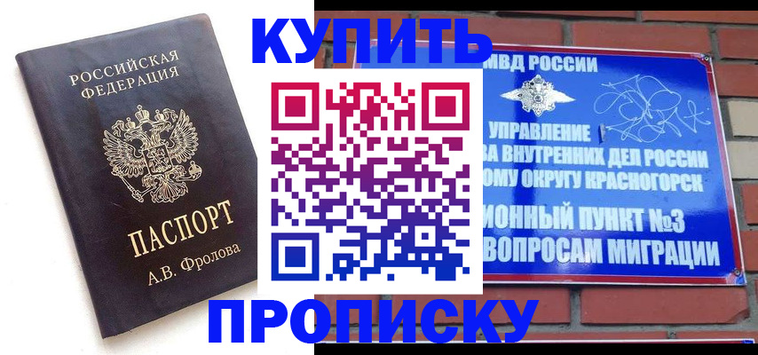 прописка поиск в Палласовке